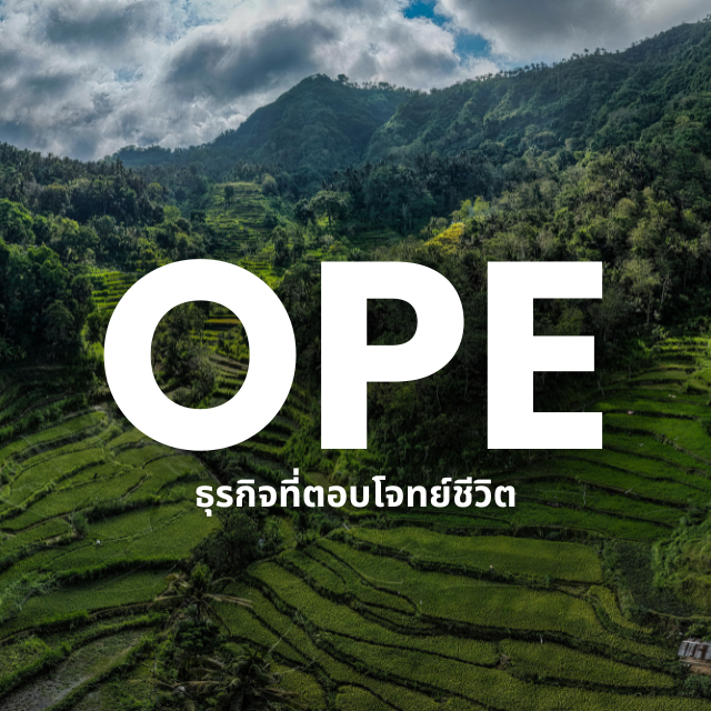 One Person Empire – ลงมือสร้างสักที