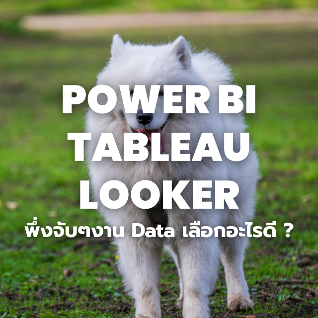 Power BI vs Tableau vs Looker Studio – มือใหม่เลือกอะไรดี