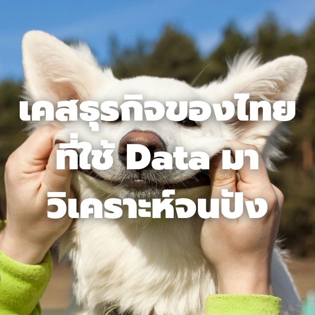 เคสธุรกิจไทยที่ใช้ Data ชนะตลาด (เช่น 7-Eleven, Grab, LINE MAN)