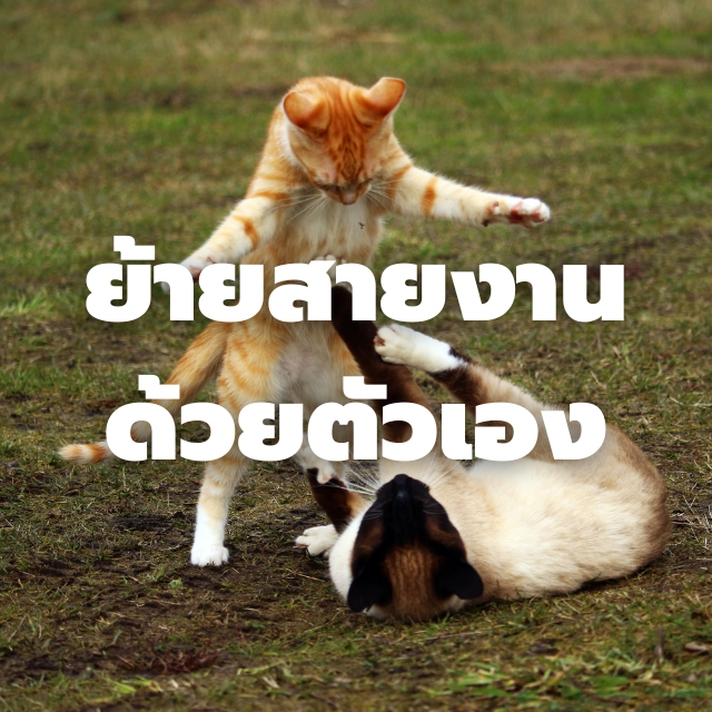 วิธีการย้ายสายงานมาทำงานด้าน Data ด้วยตัวเอง (แผน 6 เดือน ฉบับคนมีงานประจำ)