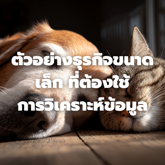 ธุรกิจขนาดเล็กที่น่าสนใจ ที่ควรใช้ Data Analytics