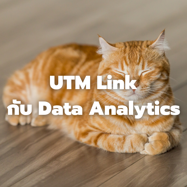 UTM Link คืออะไร? ใช้ยังไงให้วิเคราะห์ข้อมูลการตลาดได้แม่นขึ้น (ฉบับเข้าใจง่าย)